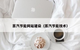湘西蒸汽节能网站建设（蒸汽节能技术）